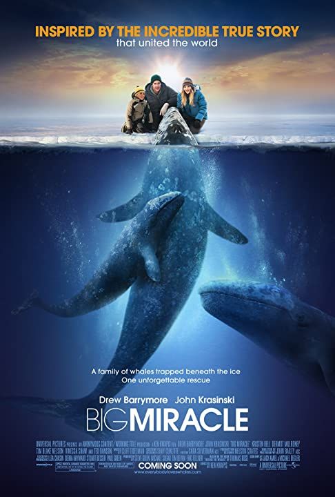 Big Miracle (2012) ORG Hindi Dubbed