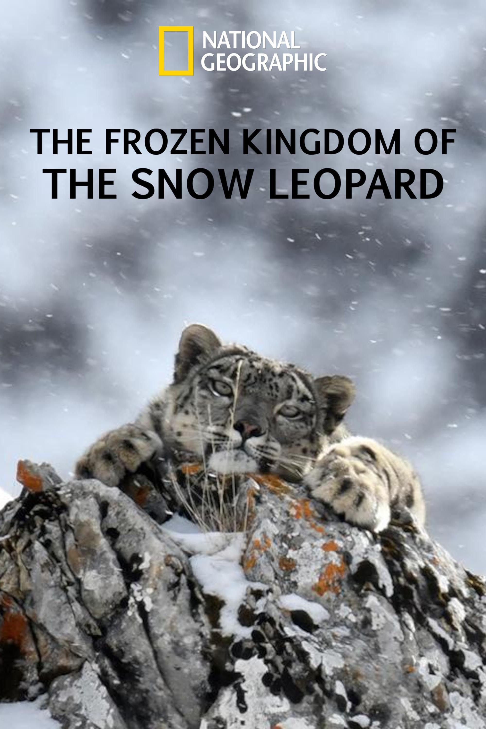 The Frozen Kingdom of the Snow Leopard (2021) Hindi ORG Dubbed