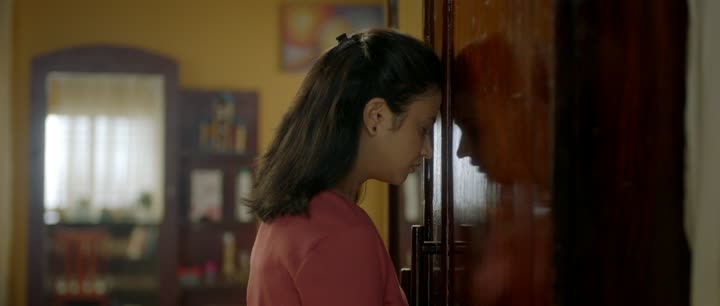Sari (Movie 2023) Marathi
